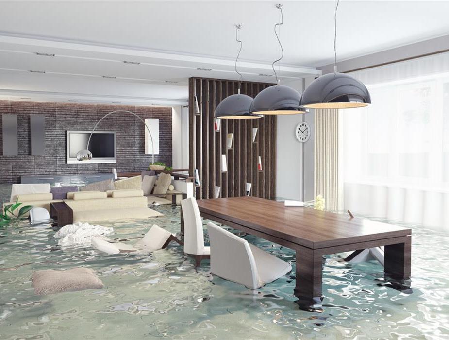 Living Room Flood