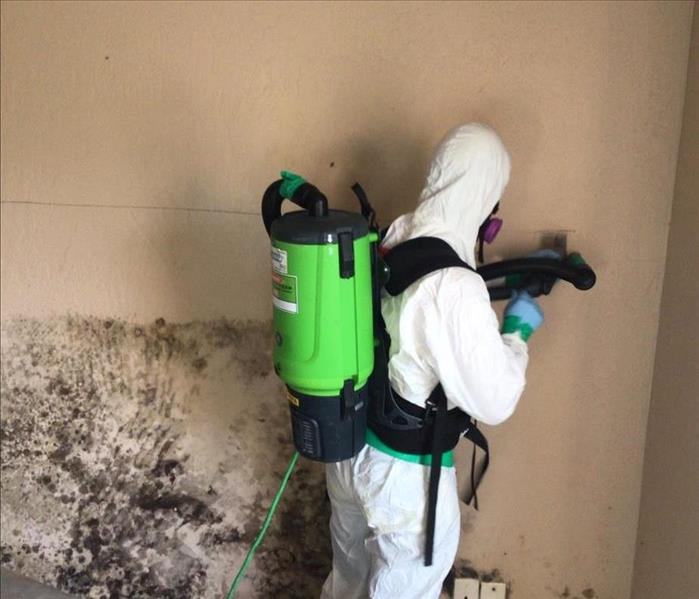 Technician Performing Mold Remediation